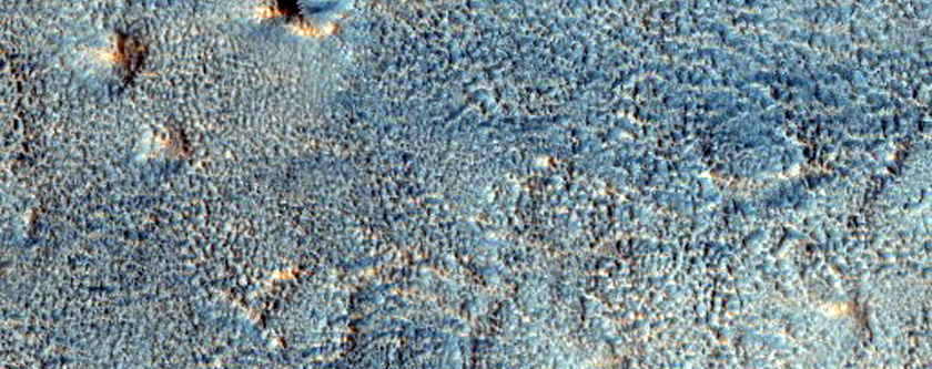 Contact in Utopia Planitia
