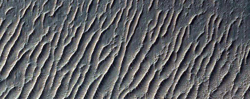 Central Melas Chasma Floor
