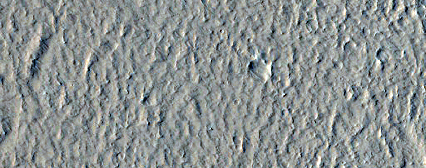 Platy Surface in Amazonis Planitia

