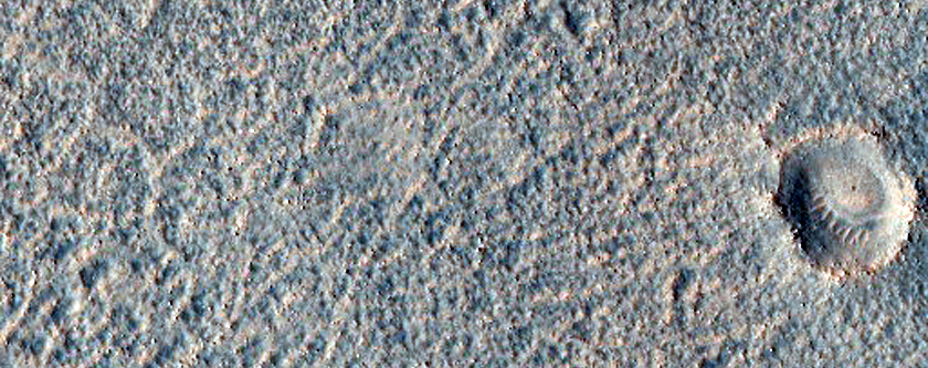 Polygonal Surface in Northern Mid-Latitudes
