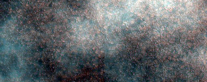 Northern Plains
