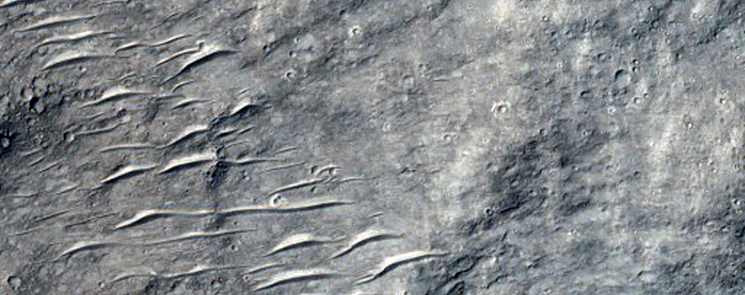 Ancient Channel
