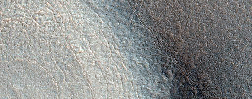 Northern Plains
