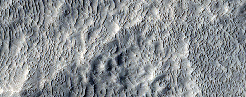 Volcanic Flow Features in Southern Elysium Planitia
