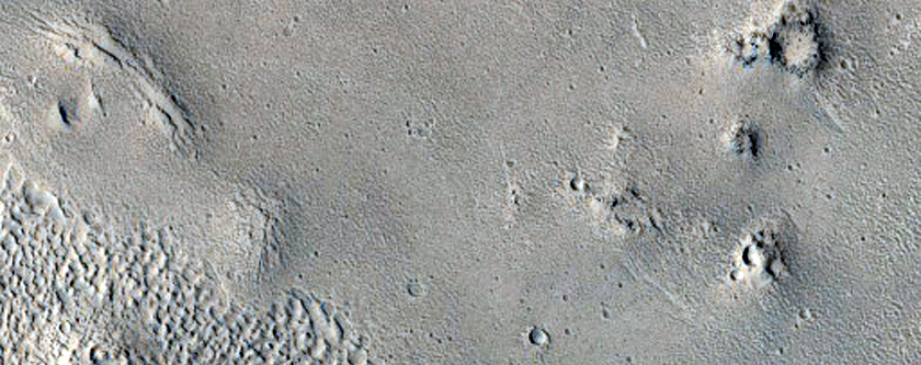 Cratered Cones in Tartarus Colles Region
