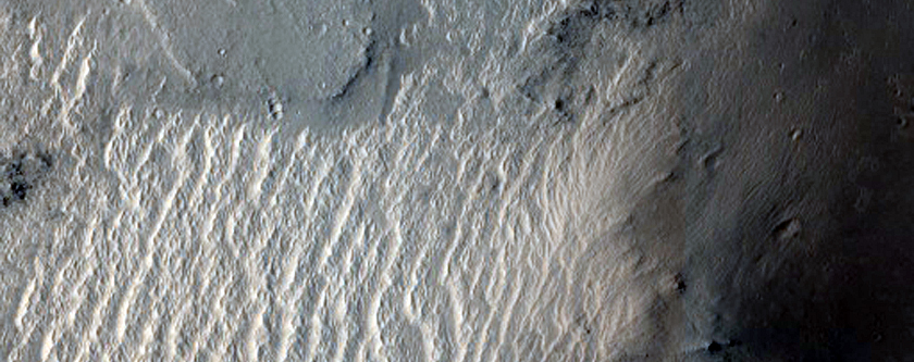Clustered Mounds with Trough-Shaped Depressions
