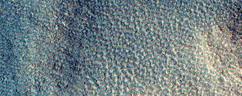Northern Plains
