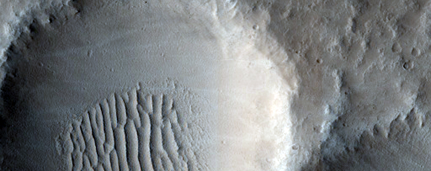 Crater Cluster in Tempe Terra
