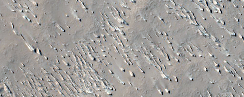 Curved Channel South of Amazonis Mensa
