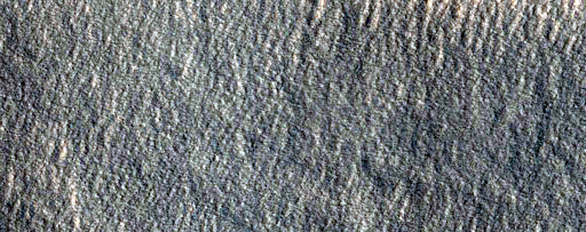 Northern Plains
