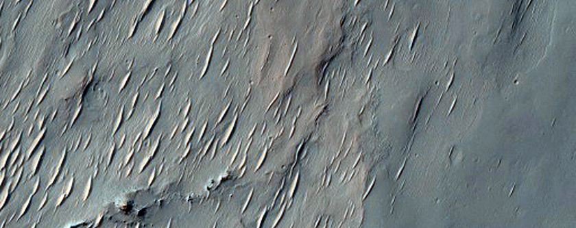 Crater with Valleys and Fans
