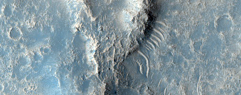 Curvy Sinuous Ridge in Tempe Terra

