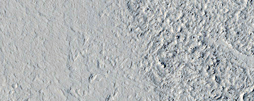 Flow Margin in Amazonis Planitia

