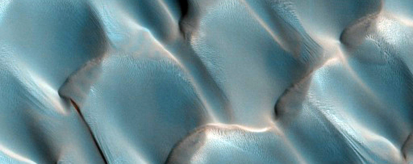 Low Latitude Dunes with Abundant Sand Dubbed Hazar
