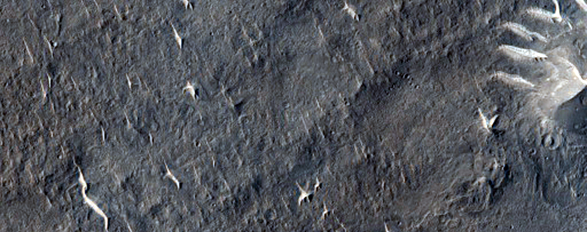 Ridge with Pits in Isidis Planitia
