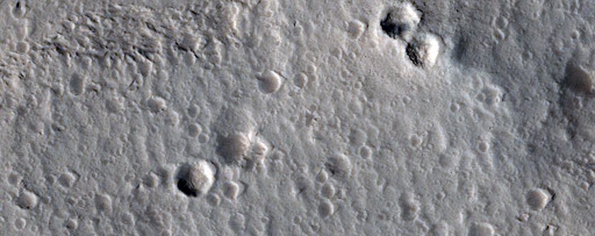 Branched Channels in Tantalus Fossae
