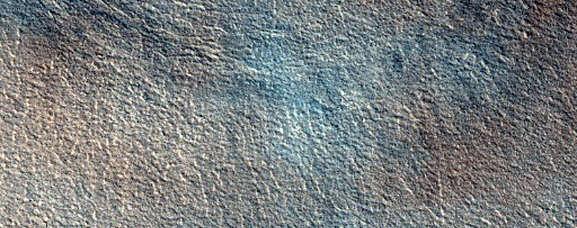 Northern Plains

