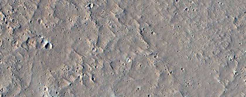 Cones on Lava Plain in Eastern Amazonis Planitia
