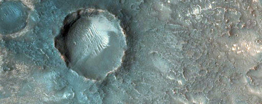 Candidate Landing Site for 2020 Mission in Nili Fossae
