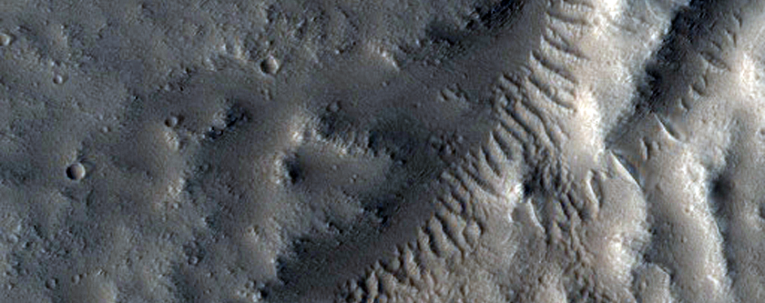 Channel Network along Rim of Eroded Crater in Mareotis Fossae
