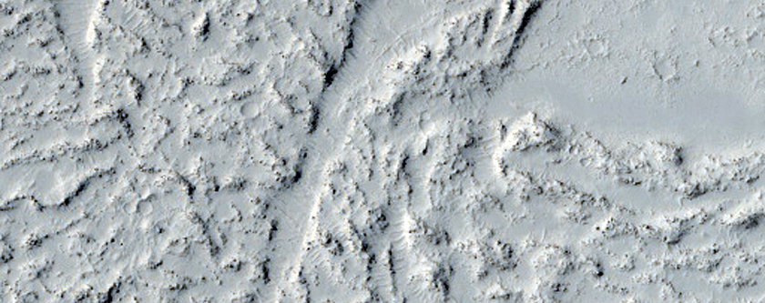Elysium Planitia Lava

