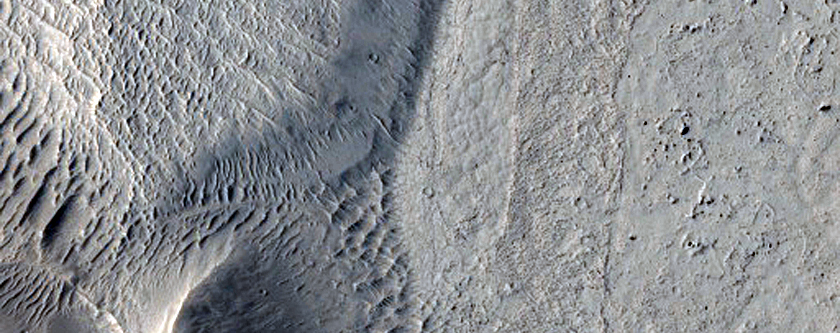 Basin with Lava Fill in Southern Elysium Planitia
