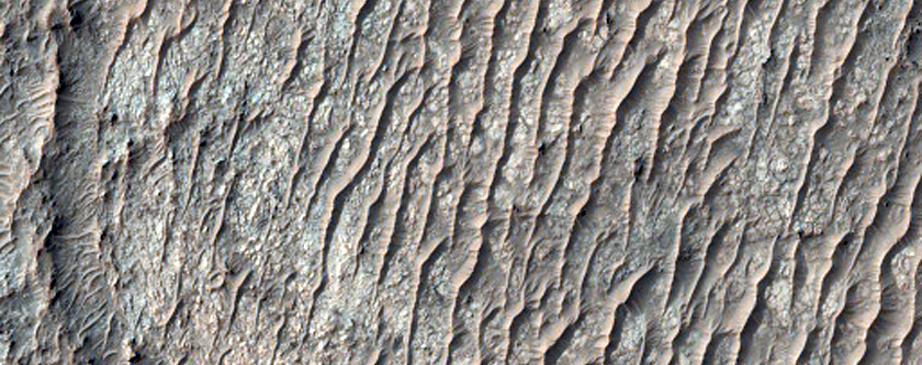 Stratigraphy of Crater Floor Materials
