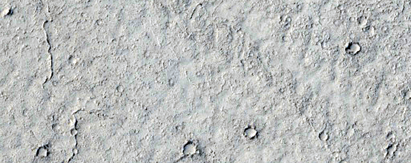 Elysium Planitia Lava
