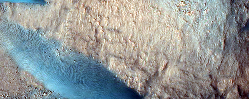 Monitoring South Lyot Crater Dark Dunes
