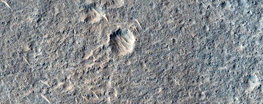 Candidate Landing Site for 2020 Mission Near Hypanis Valles
