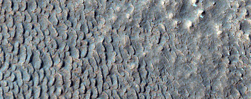 Surface Texture in North Warrego Valles
