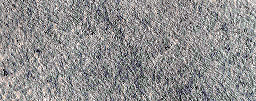 Crater Ray on Platy Lava

