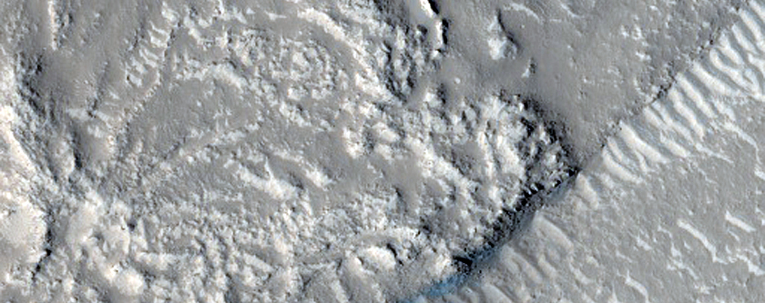 Utopia Planitia Terrain Sample
