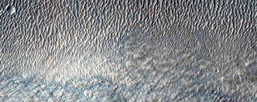 Terrain Sample
