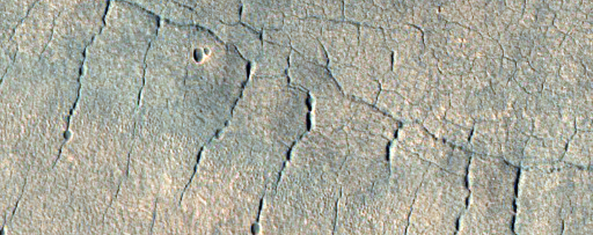 Patterns of Pits in Utopia Planitia
