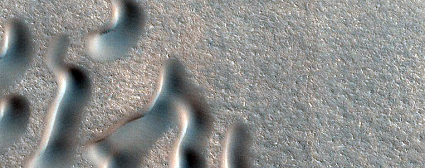 Northern Plains Terrain Sample
