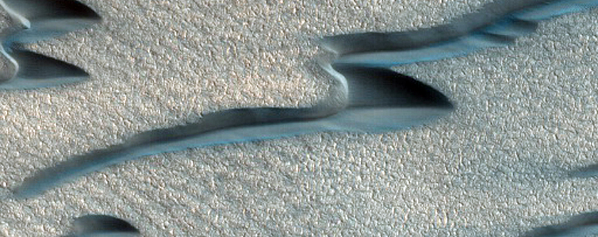Terrain Sample
