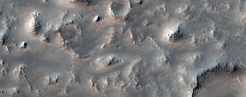 Terrain Sample
