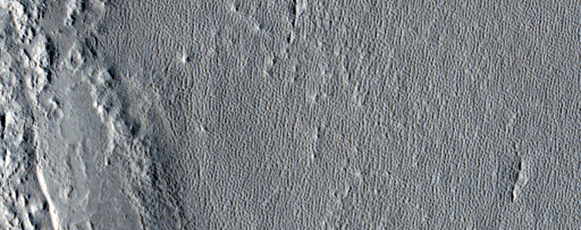 Arcadia Planitia

