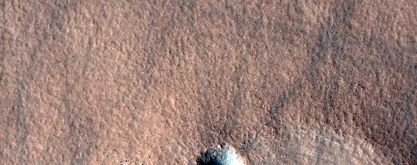 Terrain Sample
