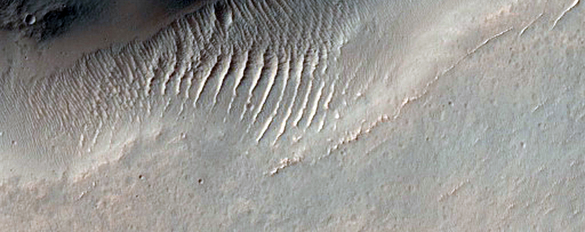 Terrain Sample
