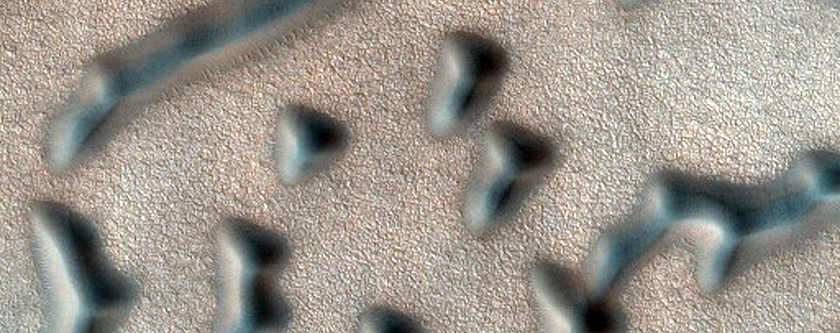 Terrain Sample
