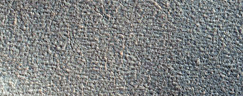 Northern Plains Sample
