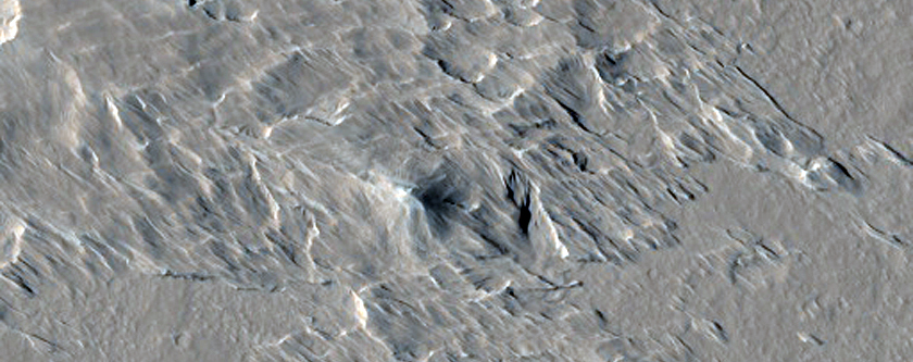 Terrain Sample
