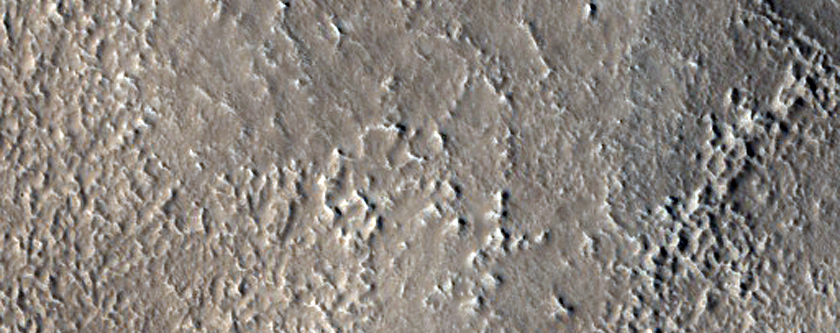 Nilosyrtis Mensae
