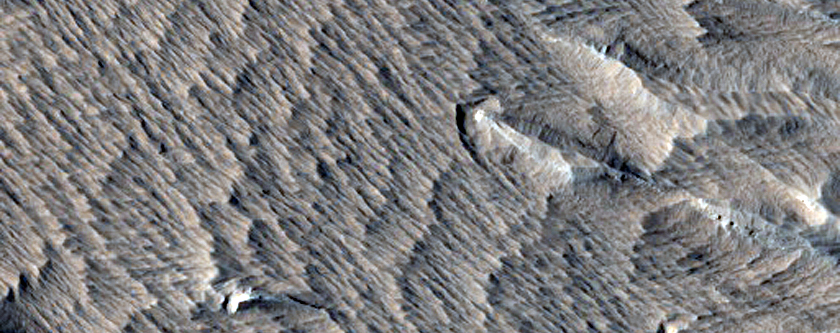 Terrain South of Olympus Mons
