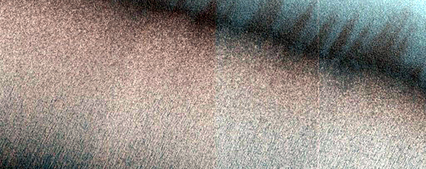 North Polar Trough

