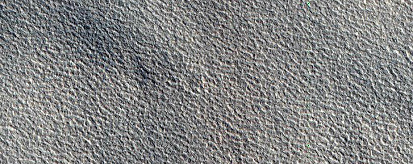 Terrain Sample
