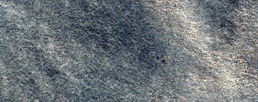 Terrain Sample
