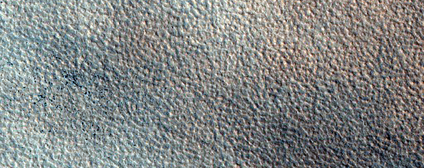 Terrain Sample
